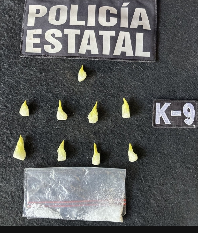 Binomios K-9 de la Policía Estatal descubren narcótico en la colonia Adolfo López Mateos