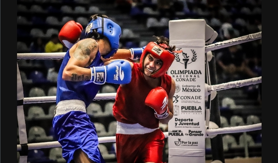 Pugilistas sonorenses logran medallas en Torneo Internacional Boxam en España