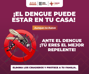SRÍA. DE SALUD- CAMPAÑA «DENGUE» (NOVIEMBRE&nbsp;2025)